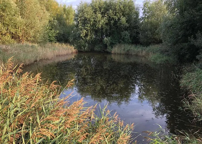 Westkapelle comfortabele Strandkamer aan de Kreek