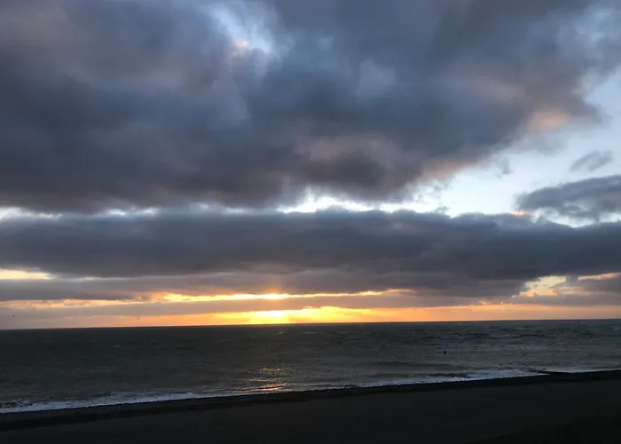 Puravida
